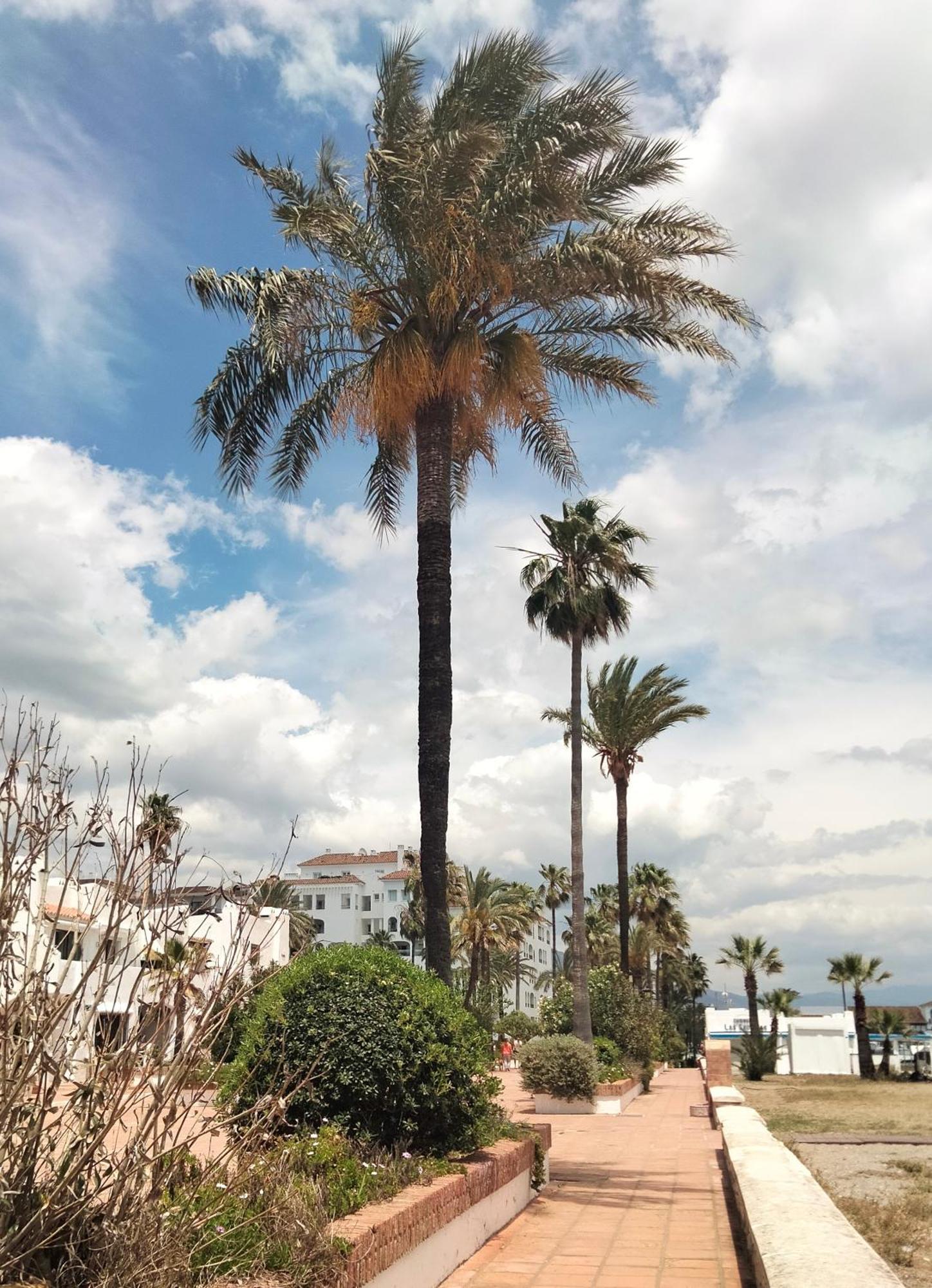 Apartamento Primera Linea De Playa Manilva Exterior foto